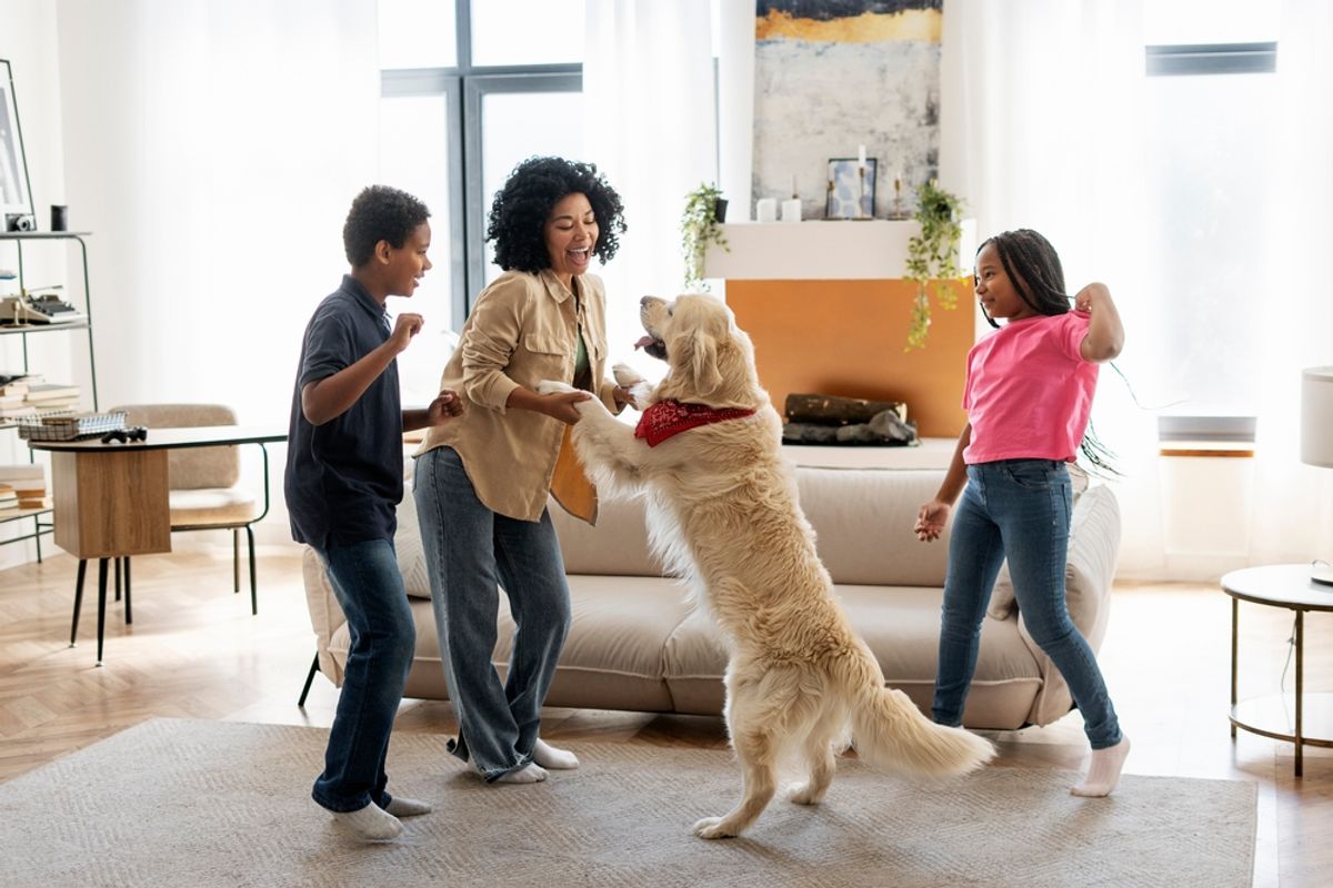 A couple sitting on a couch with a laptop open while their medium-sized rescue dog rests nearby, relaxed living room scene, real photograph style