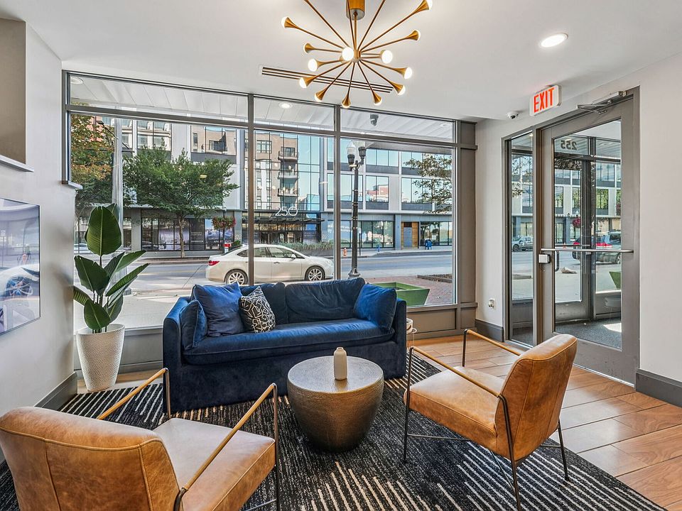 A renter sitting on an apartment couch with a medium-sized rescue dog at their feet, cozy indoor photo